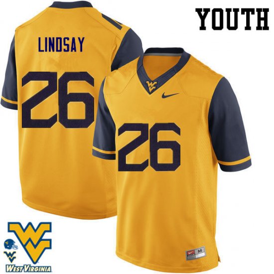 Youth West Virginia Mountaineers NCAA #26 Deamonte Lindsay Gold Authentic Nike Stitched College Football Jersey TO15J40QI